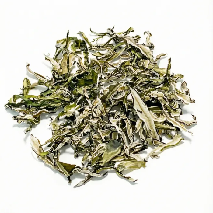 茎ワカメ (Kugiwakame)